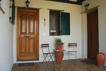 Ampeloessa