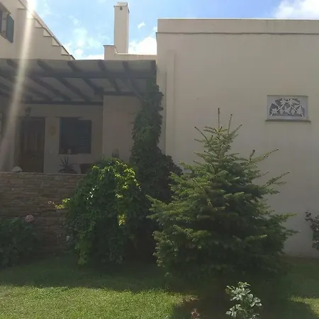 Ampeloessa Mési